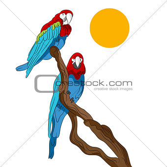 Parrots Sitting In Tree