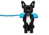 dog phone telephone