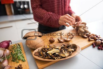 Closeup on dried mushrooms and young housewife stringing mushroo