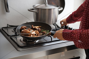 Closeup on young housewife putting pan on stove