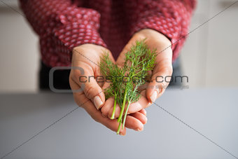 Closeup on young housewife showing fresh dill