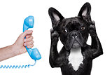dog phone telpehone