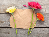 Three colorful gerbera flowers with paper for copy space