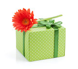 Orange gerbera flower over gift box