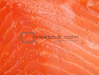Fresh salmon fish texture