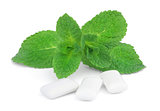 Mint and chewing gum