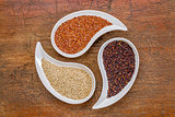 white, red and black quinoa grain