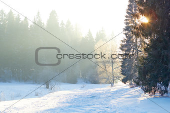 sunrays over fog on river in winter forest