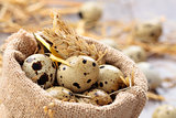 Fresh quail eggs.