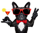 cocktail party dog