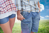 Composite image of couple in check shirts and denim holding hands