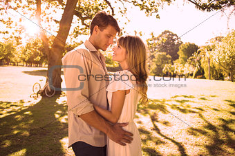 Smiling couple standing and embracing in park