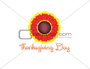 thanksgiving backgrounds