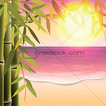 Bamboo trees and leaves on the sand beach background at sunset time. 
