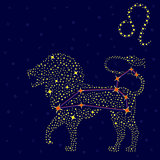 Zodiac sign Leo over starry sky