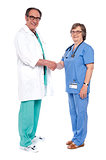 Senior medical persons shaking hands
