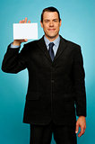 Isolated corporate man holding blank placard