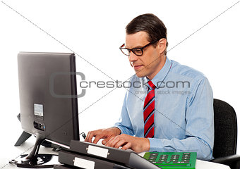 Portrait of an accountant working on computer