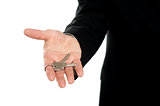 Businessman offering keys, closeup shot