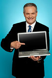 Aged corporate male pointing at laptop screen