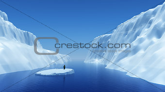 Penguin on floating iceberg