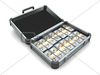 Aluminum case full of money