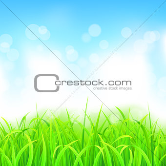 Landscape with Grass and Sky