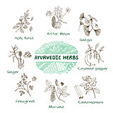 Ayurvedic herbs collection
