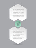 Hexagon infographic with eco house icon