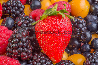 Fresh Mixed Berries