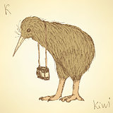 Sketch fancy kiwi bird in vintage style