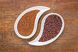 kaniwa and quinoa  grain