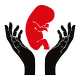 Human hands with fetus vector symbol.