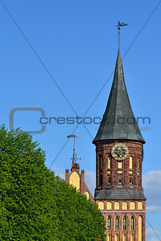 Koenigsberg Cathedral, symbol of Kaliningrad. Russia