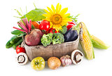 Fresh vegetables in wooden basket