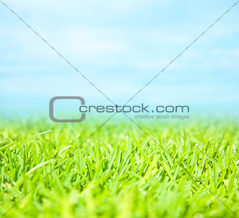 Abstract natural background 
