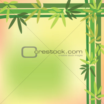 Blurred bamboo trees and leaves at on colorful background.