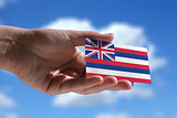 Small Hawaiian flag 