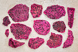 dried dragon fruit (pitaya)