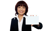 Business lady showing blank placard to camera