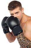 Portrait of caucasian male boxer ready to punch