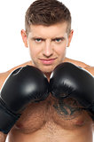Close up picture of young caucasian boxer