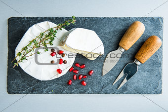 Closeup on camembert on stone substrate