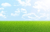Grass field with blue sky, clouds