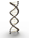Spiral of DNA with the symbols of the dollar and the euro, with metal glossy surface