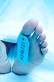 dead body with a toe tag
