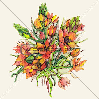 Watercolor flowers