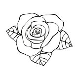 Rose in tattoo style