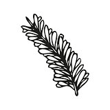Doodling hand drawn feather