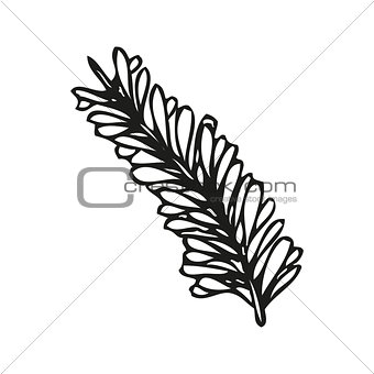 Doodling hand drawn feather